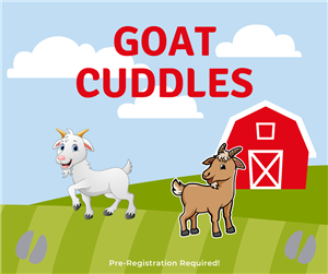 Goat Cuddles