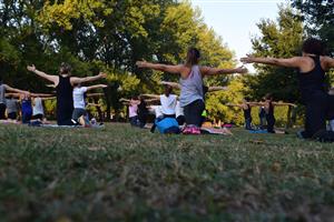 Group performs yoga outside